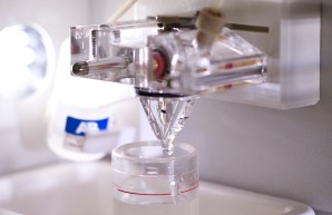 Institute of Medical Microbiology, Virology and Hygiene